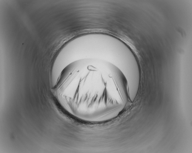 X0000111120013200907281039