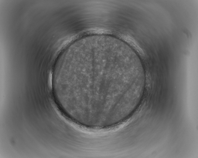 X0000111120014200907281039