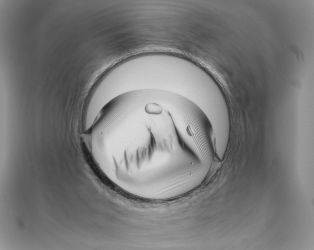 X0000111120015200907281039