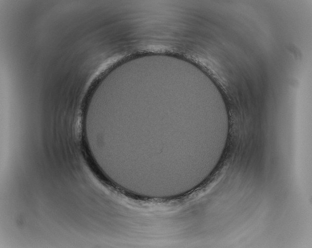 X0000111120016200907281039