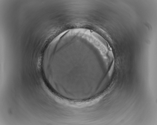 X0000111120018200907281039