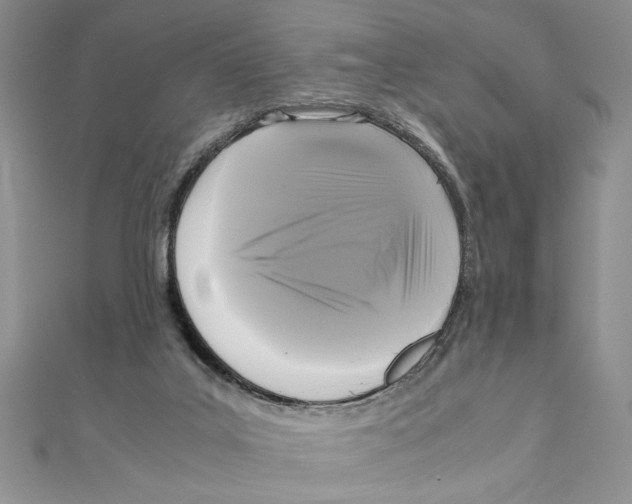 X0000111120019200907281039