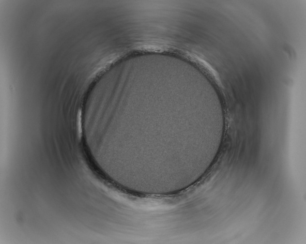 X0000111120020200907281039