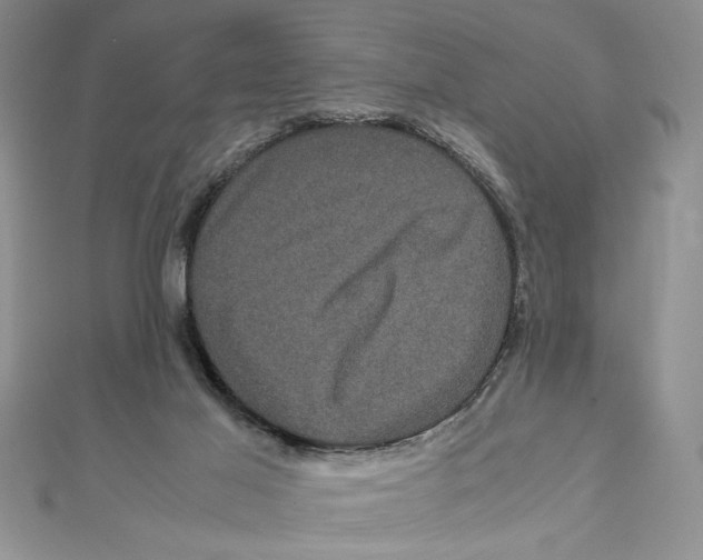 X0000111120021200907281039