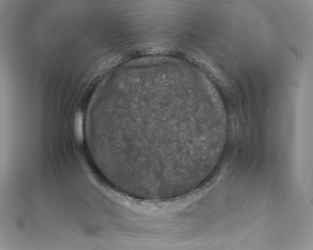 X0000111120022200907281039