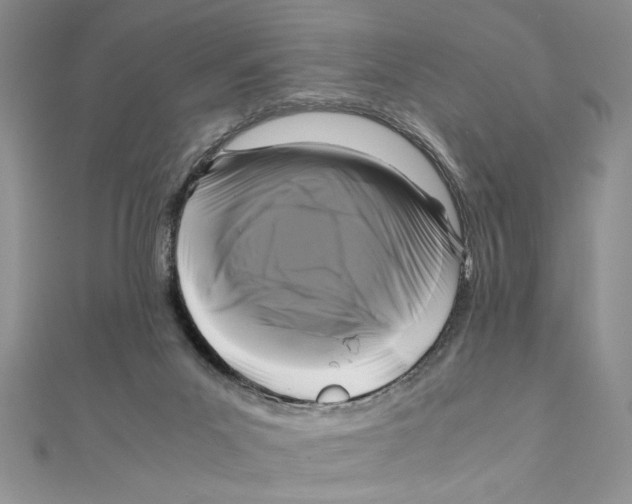 X0000111120023200907281039