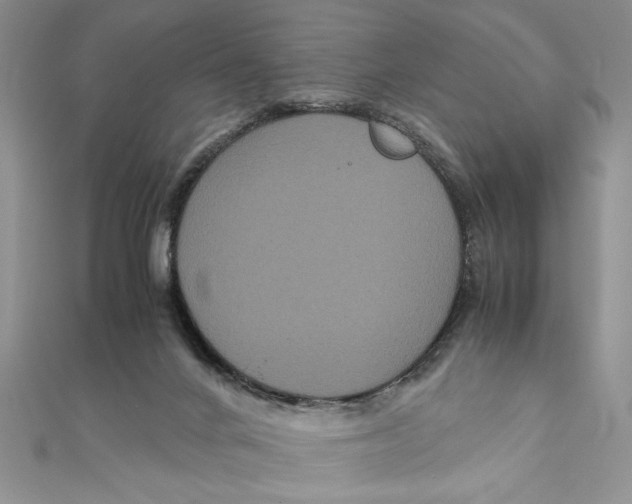 X0000111120024200907281039