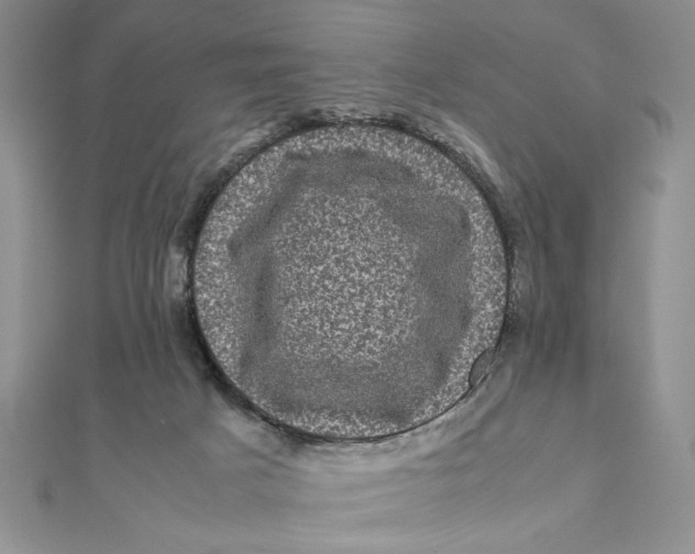 X0000111120025200907281039