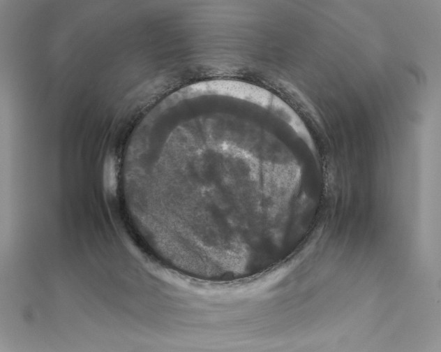 X0000111120026200907281039