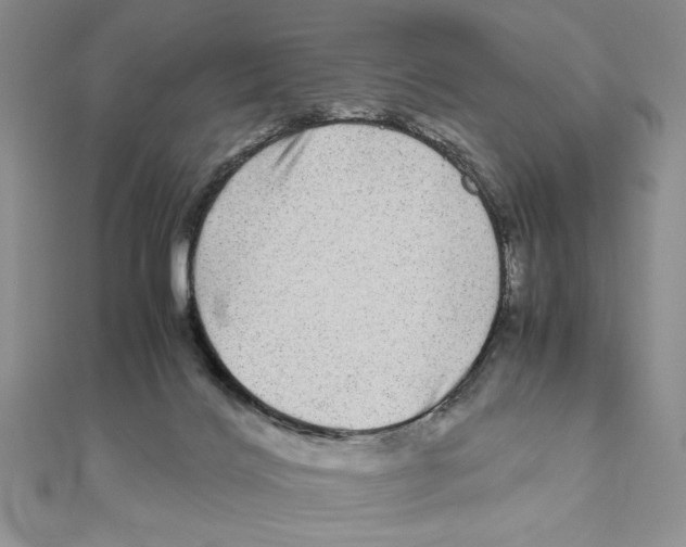 X0000111120028200907281039