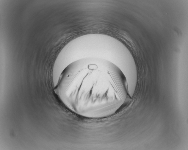 X0000111120029200907281039