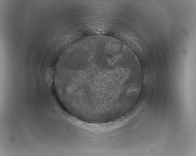 X0000111120030200907281039