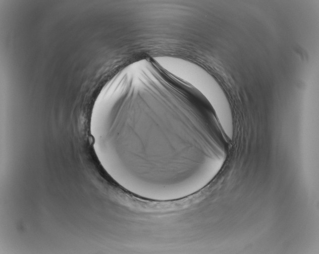 X0000111120031200907281039