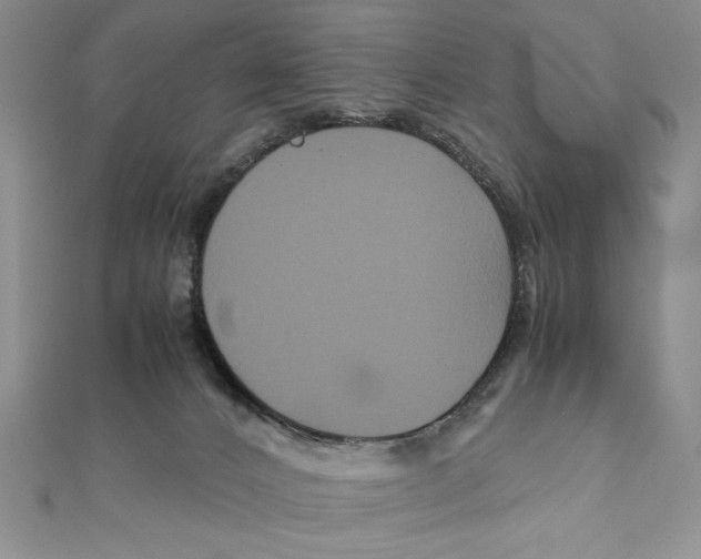 X0000111120032200907281039