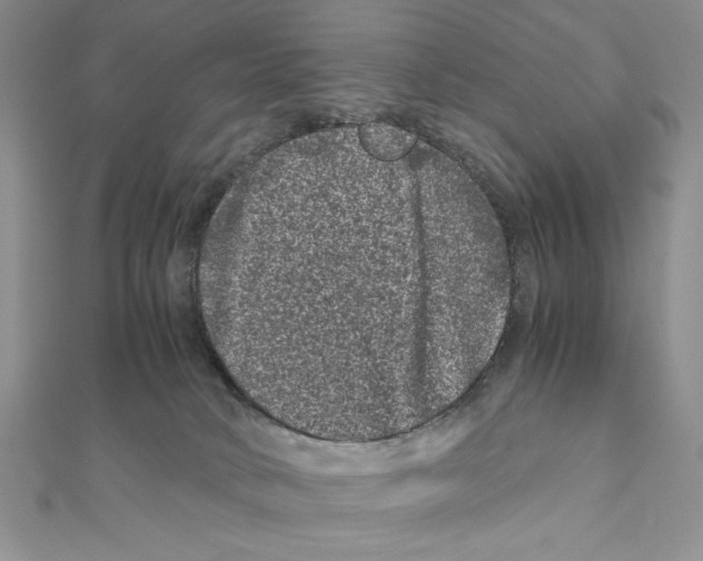 X0000111120034200907281039