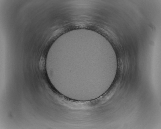 X0000111120036200907281039