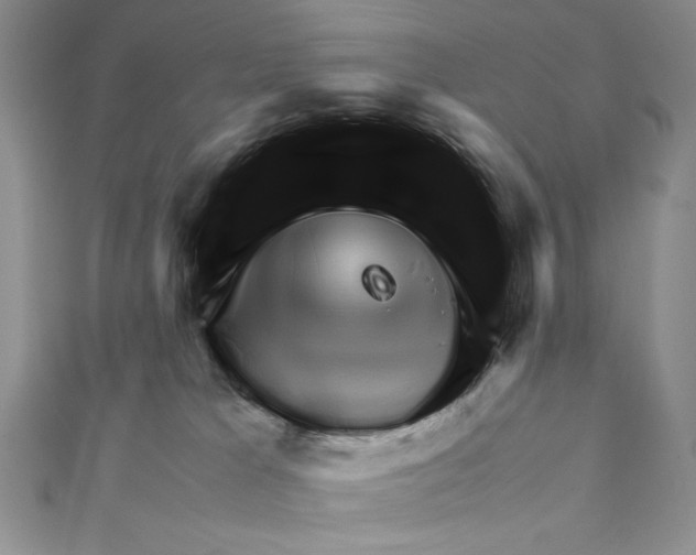 X0000111120037200907281039