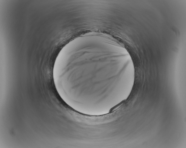 X0000111120039200907281039