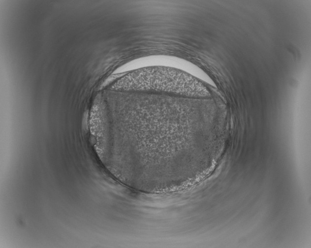 X0000111120041200907281039