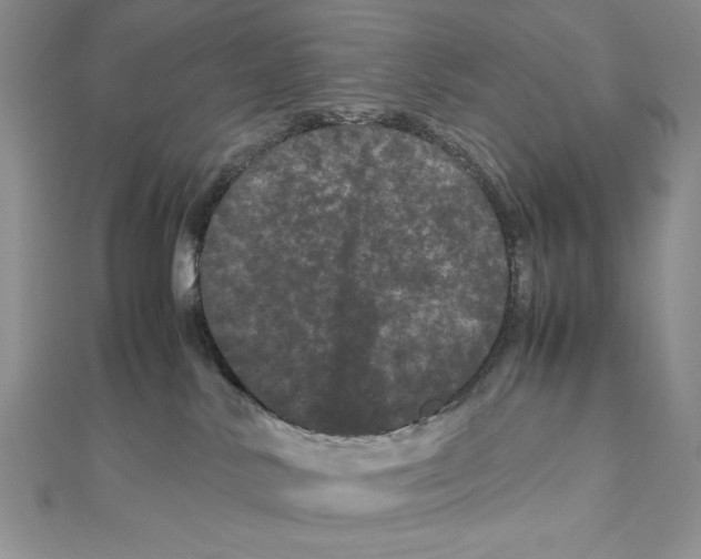 X0000111120042200907281038