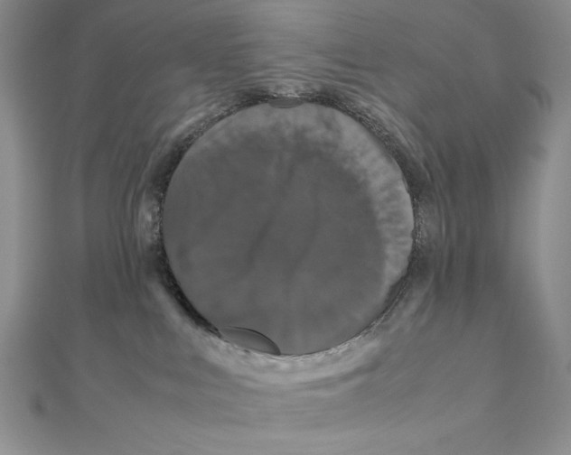 X0000111120043200907281038