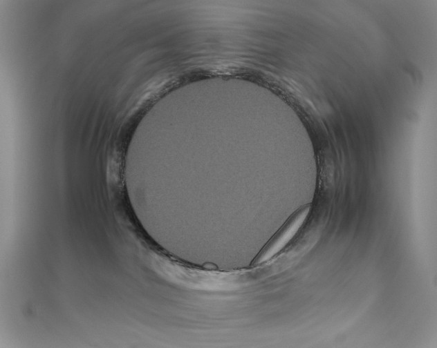 X0000111120044200907281038