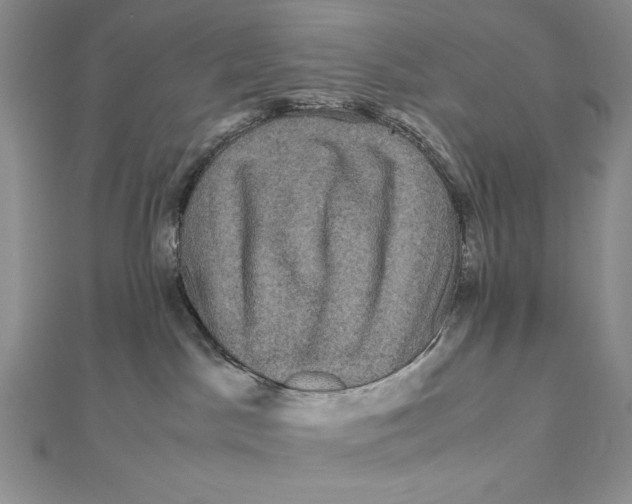 X0000111120045200907281038
