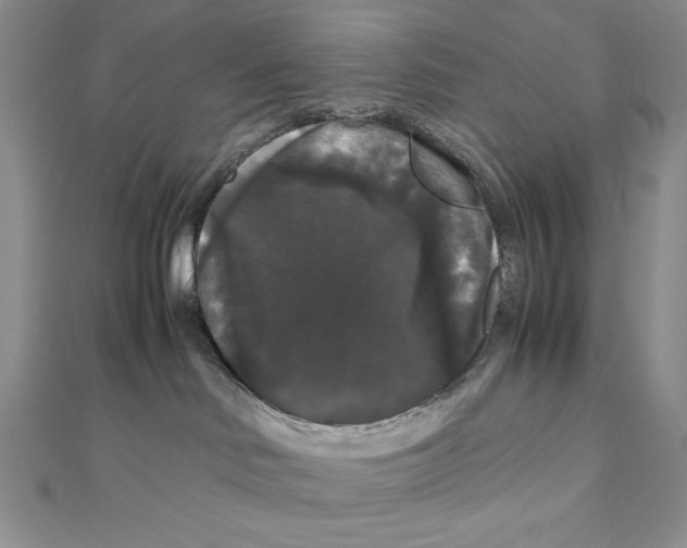 X0000111120046200907281038