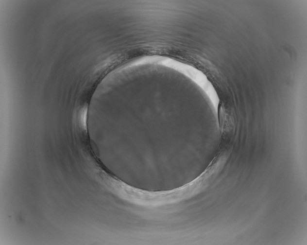 X0000111120047200907281038