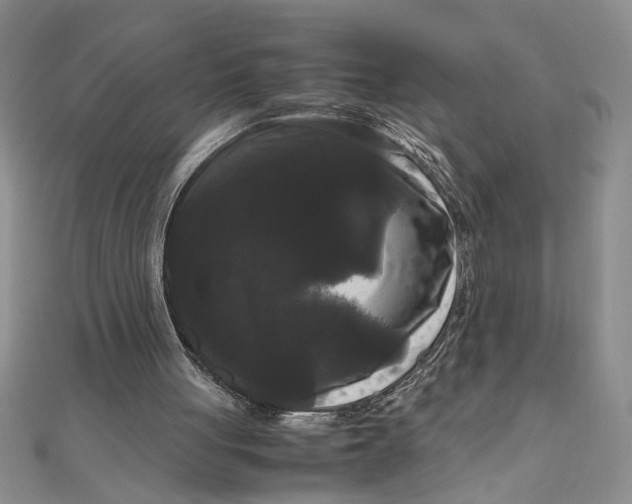 X0000111120051200907281038