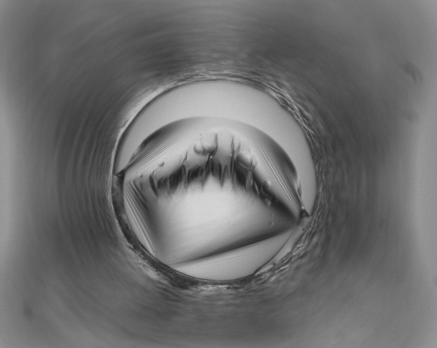 X0000111120052200907281038