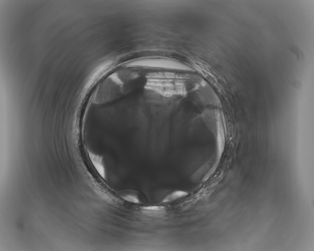 X0000111120053200907281038