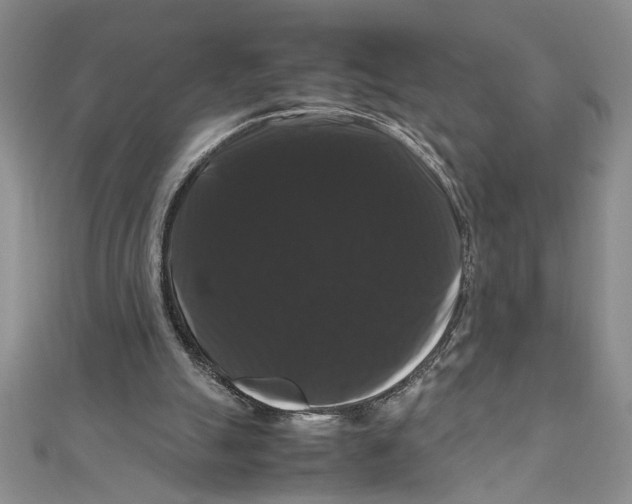 X0000111120055200907281038