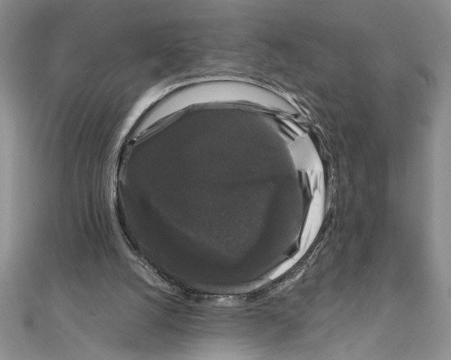 X0000111120056200907281038