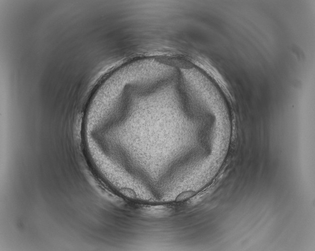 X0000111120058200907281038