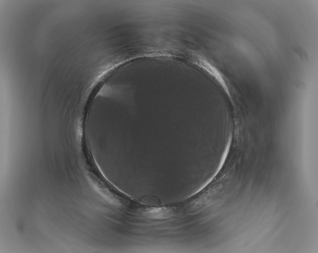X0000111120059200907281038