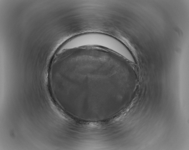 X0000111120060200907281038