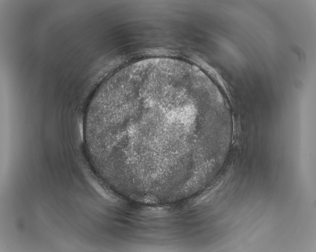 X0000111120061200907281038