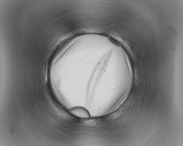 X0000111120062200907281038