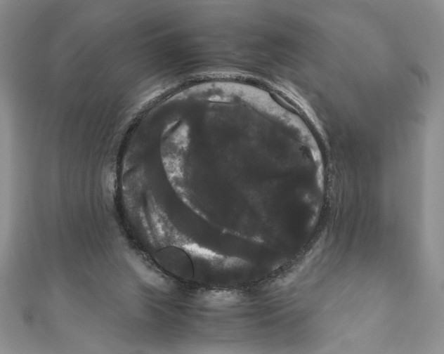 X0000111120063200907281038