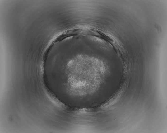 X0000111120064200907281038