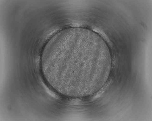X0000111120066200907281038