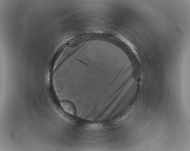 X0000111120067200907281038