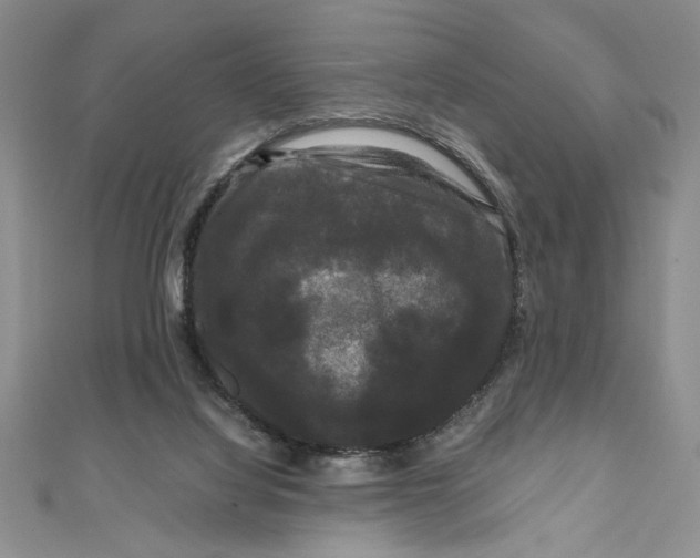 X0000111120068200907281038