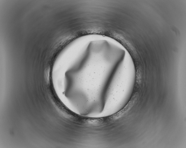 X0000111120070200907281038