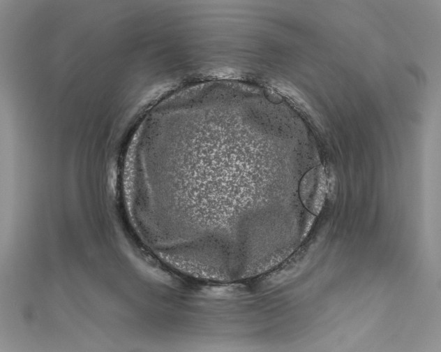 X0000111120072200907281038
