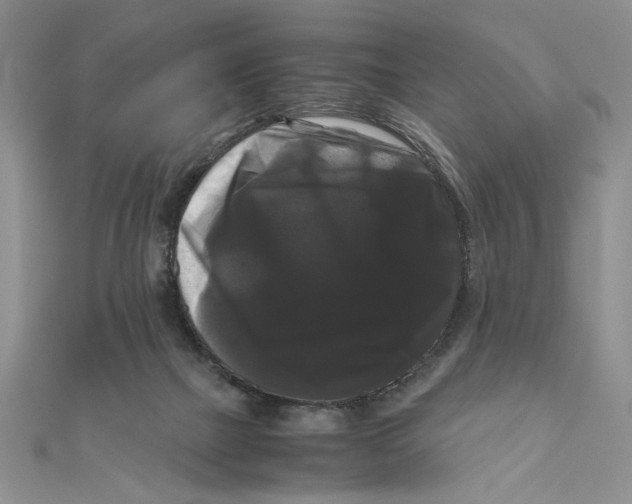 X0000111120073200907281038