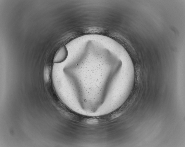 X0000111120075200907281038