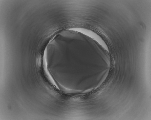 X0000111120076200907281038