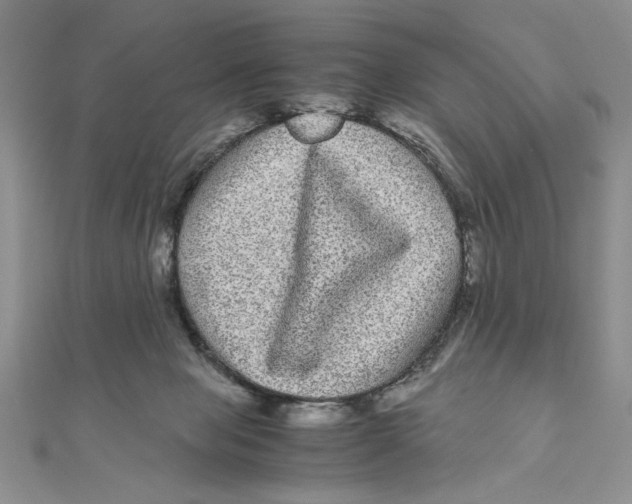 X0000111120077200907281038